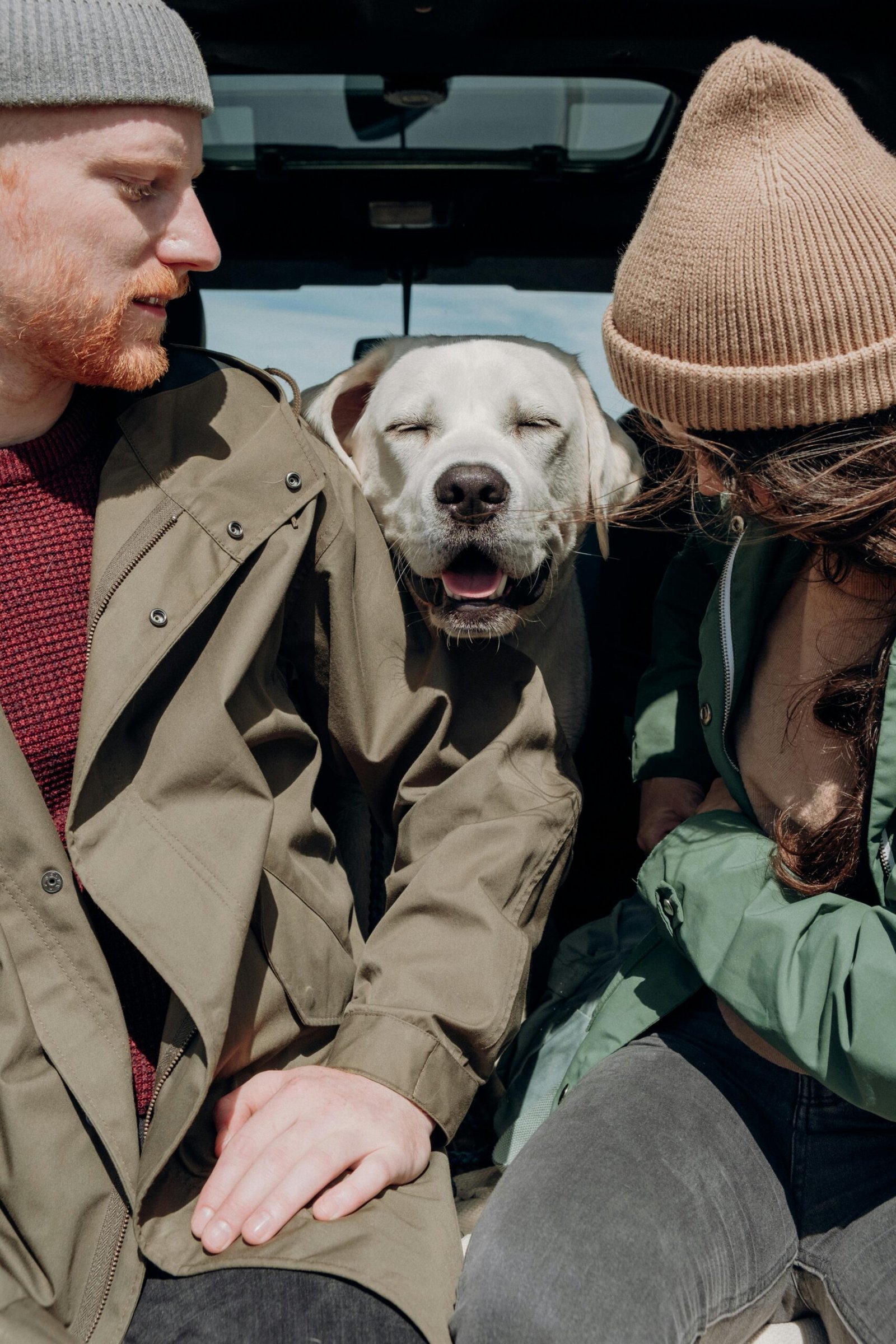 pexels-cottonbro-5079219 pexels-cottonbro-5079219